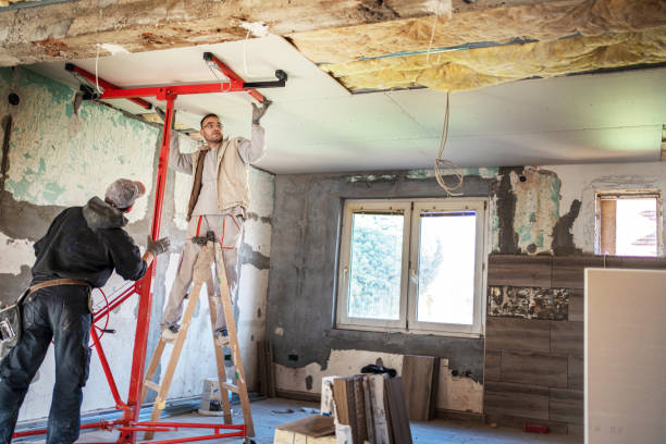 Best Attic Insulation Installation  in Saxapahaw, NC
