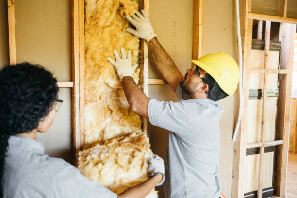 Best Attic Insulation Installation  in Saxapahaw, NC