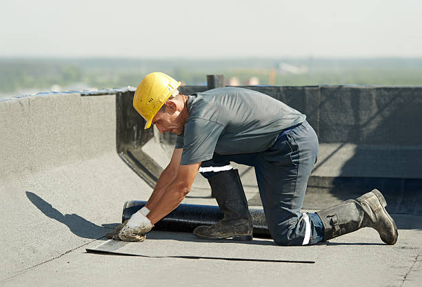 Best Insulation Removal  in Saxapahaw, NC